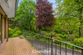 Property photo of 221 Mt Dandenong Tourist Road Ferny Creek VIC 3786