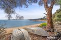 Property photo of 428 Freycinet Drive Coles Bay TAS 7215