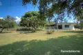 Property photo of 19 Palm Street Cooya Beach QLD 4873