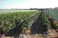 Property photo of 3526 Lower Denmark Road Youngs Siding WA 6330