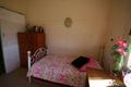 Property photo of LOT 521 New England Highway Tenterfield NSW 2372