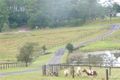 Property photo of 16 Strong Lane Eerwah Vale QLD 4562