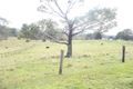 Property photo of 16 Strong Lane Eerwah Vale QLD 4562