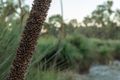 Property photo of 5 Bushel Road Serpentine WA 6125