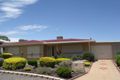 Property photo of 5 Casuarina Avenue Surrey Downs SA 5126