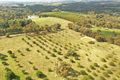 Property photo of 121 Ratho Road Young NSW 2594