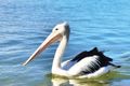Property photo of 401/34 Picnic Point Esplanade Maroochydore QLD 4558
