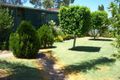 Property photo of 81 Slaughter Street Three Springs WA 6519