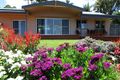 Property photo of 207 Old Byron Bay Road Newrybar NSW 2479
