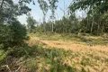 Property photo of 21 Upper Fine Flower Road Upper Fine Flower NSW 2460