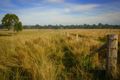 Property photo of 82-200 Hines Road Mutdapilly QLD 4307