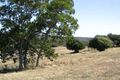 Property photo of 14 Volp Court Highfields QLD 4352