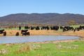 Property photo of 206 Ingledow Road Bungendore NSW 2621