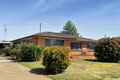 Property photo of 45 Cobram Street Berrigan NSW 2712