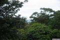 Property photo of 81 Crest Drive Currumbin QLD 4223
