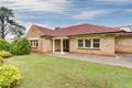 Property photo of 38 Darley Road Paradise SA 5075