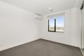 Property photo of 6 Lomandra Drive Clayton South VIC 3169