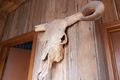 Property photo of 22 Foam Street Rosebud VIC 3939