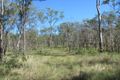 Property photo of 41 Whytallabah Road Euleilah QLD 4674