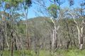 Property photo of 41 Whytallabah Road Euleilah QLD 4674