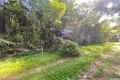 Property photo of LOT 3/3 Sunshine Road East Feluga QLD 4854