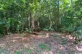 Property photo of LOT 3/3 Sunshine Road East Feluga QLD 4854