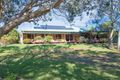 Property photo of 15 Melaleuca Avenue Woolgoolga NSW 2456