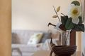 Property photo of 3 Jane Court Cotswold Hills QLD 4350