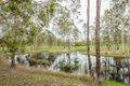 Property photo of 10 Aquarius Avenue River Ranch QLD 4680