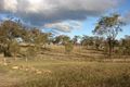 Property photo of 4 Jillaroo Way Muswellbrook NSW 2333