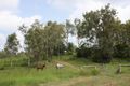 Property photo of 61 Petersen Road Koumala QLD 4738