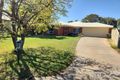 Property photo of 13 Sirius Court Mildura VIC 3500