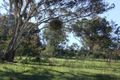 Property photo of 1175 Tea Tree Road Roseberg NSW 2793