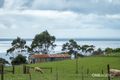 Property photo of 248 Tollymore Road Table Cape TAS 7325