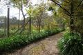 Property photo of 29 Kentucky Road Merricks North VIC 3926