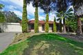 Property photo of 19 Walker Avenue Paradise SA 5075