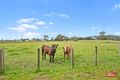 Property photo of 1377 Ridgley Highway Highclere TAS 7321