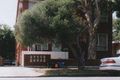 Property photo of 1/18 George Street Marrickville NSW 2204