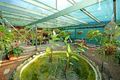 Property photo of 32 Bernborough Court Kelso QLD 4815