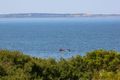 Property photo of 22 Surf Street Merricks Beach VIC 3926