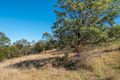 Property photo of 2 Coomera Court Dromedary TAS 7030