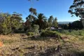 Property photo of 48 Boyce Street Avoca VIC 3467