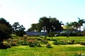 Property photo of 102 Umang Street Tottenham NSW 2873