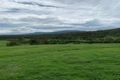 Property photo of 7028 Cunningham Highway Aratula QLD 4309