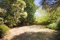 Property photo of 113 Dorking Road Box Hill North VIC 3129