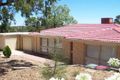Property photo of 14 Casuarina Avenue Surrey Downs SA 5126
