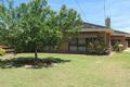Property photo of 5 Shackell Street Echuca VIC 3564