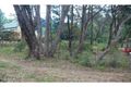 Property photo of 14 Minni Ha Ha Road Katoomba NSW 2780
