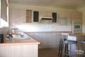 Property photo of 7 Gregory Terrace Lapstone NSW 2773