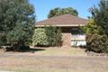 Property photo of 21 Roscrea Road Melton VIC 3337